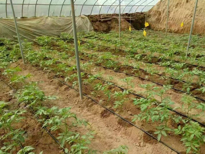 霍爾德土壤水勢儀可以做什么