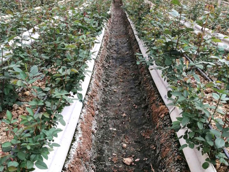 土壤水勢儀的工作原理是什么