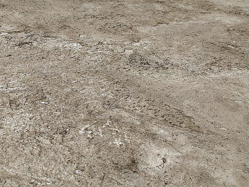 土壤鹽化對種植作物有怎樣的影響