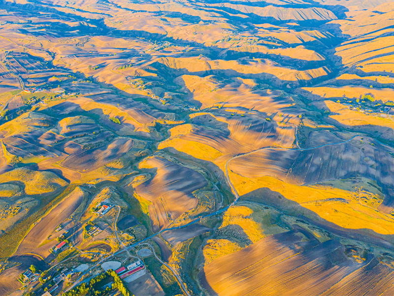 土壤有機質檢測儀 土壤有機質檢測儀