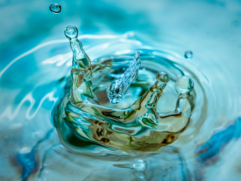 水質(zhì)生物毒性檢測(cè) 水質(zhì)生物毒性檢測(cè)