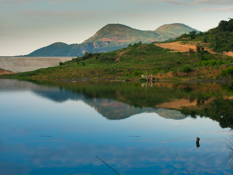 水質生物毒性檢測儀用途 水質生物毒性檢測儀用途