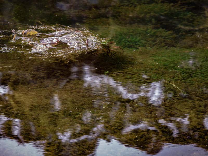 快速COD測定儀功能 快速COD測定儀功能