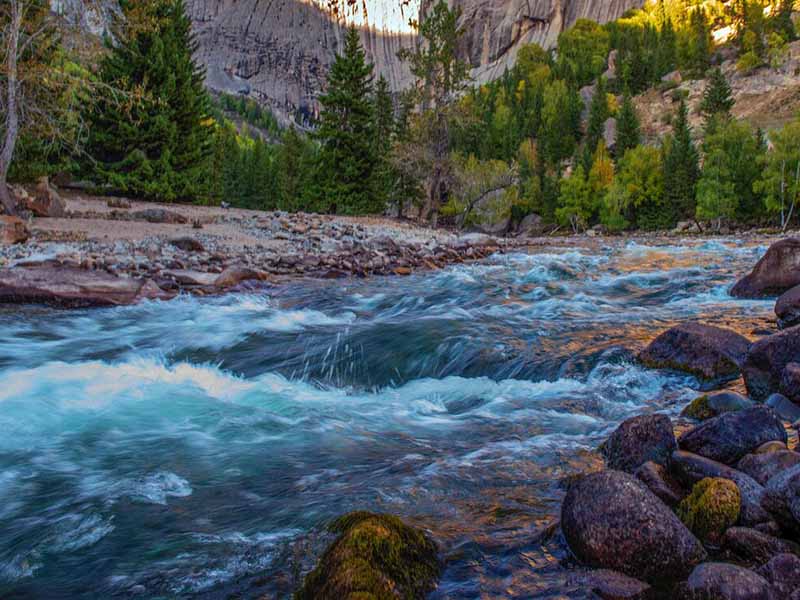 二氧化氯消毒劑的作用 二氧化氯消毒劑的作用