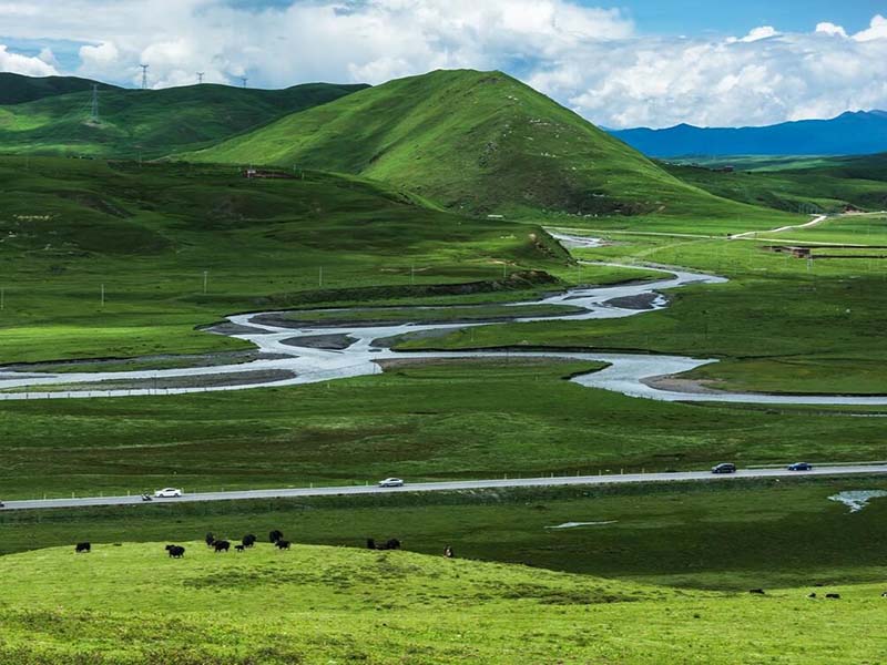 水質生物毒性檢測的作用 水質生物毒性檢測的作用
