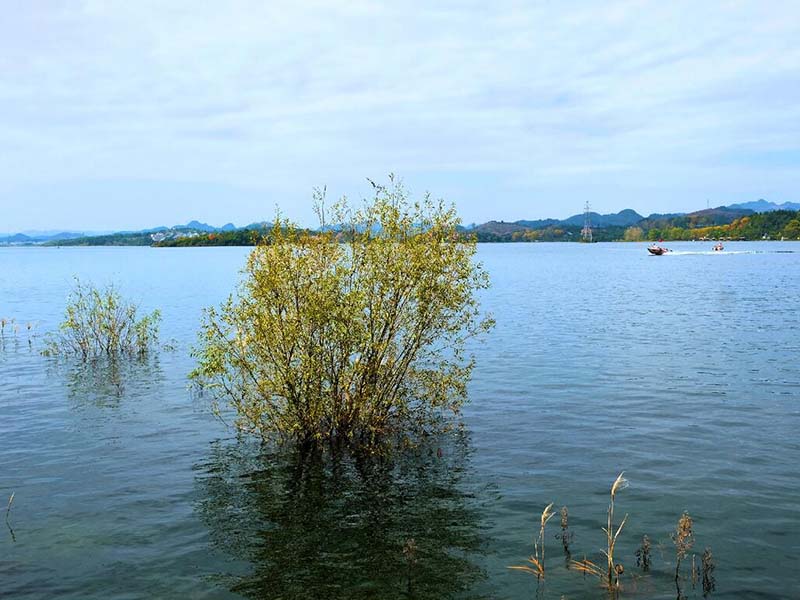 1653025080206092.jpg QQ截圖20220520133618.jpg