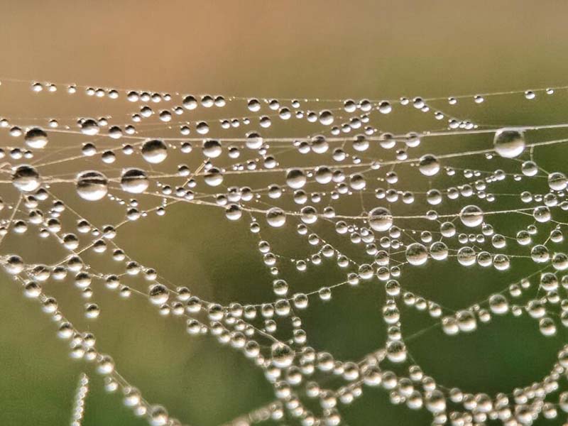 洪澇災害期間自來水能否飲用 洪澇災害期間自來水能否飲用