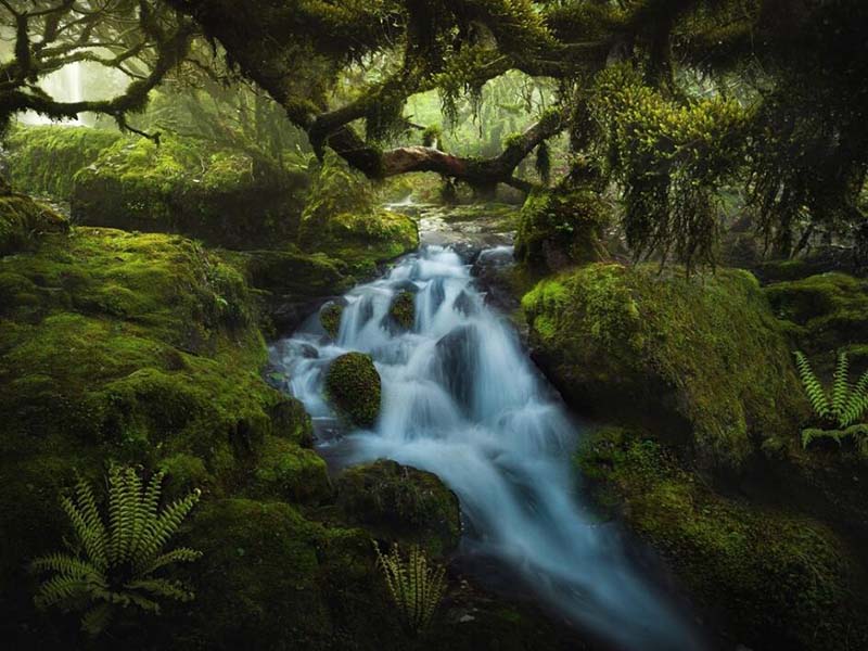 二次供水中水質安全問題有哪些 二次供水中水質安全問題有哪些