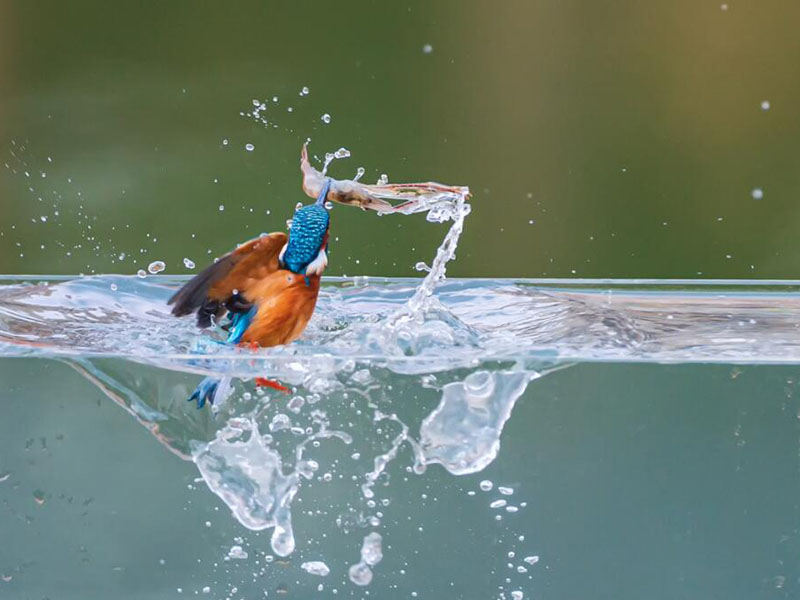 水產(chǎn)養(yǎng)殖檢測(cè)儀好用嗎 水產(chǎn)養(yǎng)殖檢測(cè)儀好用嗎