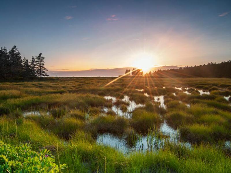 便捷式水質(zhì)檢測儀操作步驟