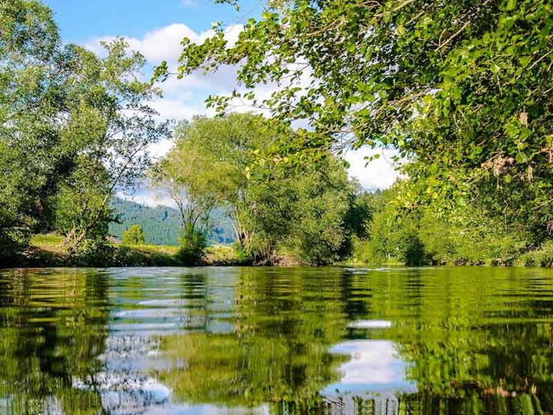 影響水質濁度檢測的幾個因素