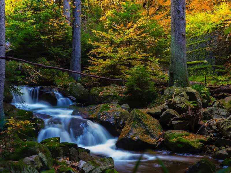 水質總磷快速分析儀結果有偏差的原因