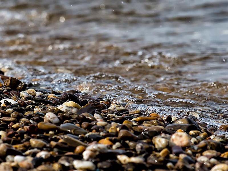 全國哪個城市地表水水質最好