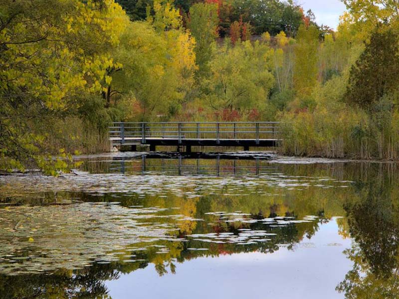 山東啟動(dòng)入海河流總氮治理專項(xiàng)行動(dòng)