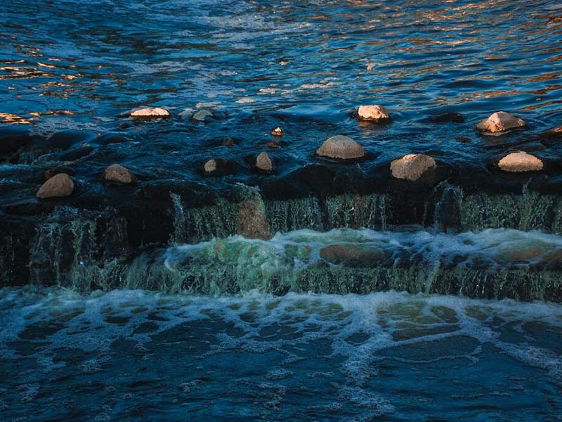 水產養殖為什么要檢測總堿度