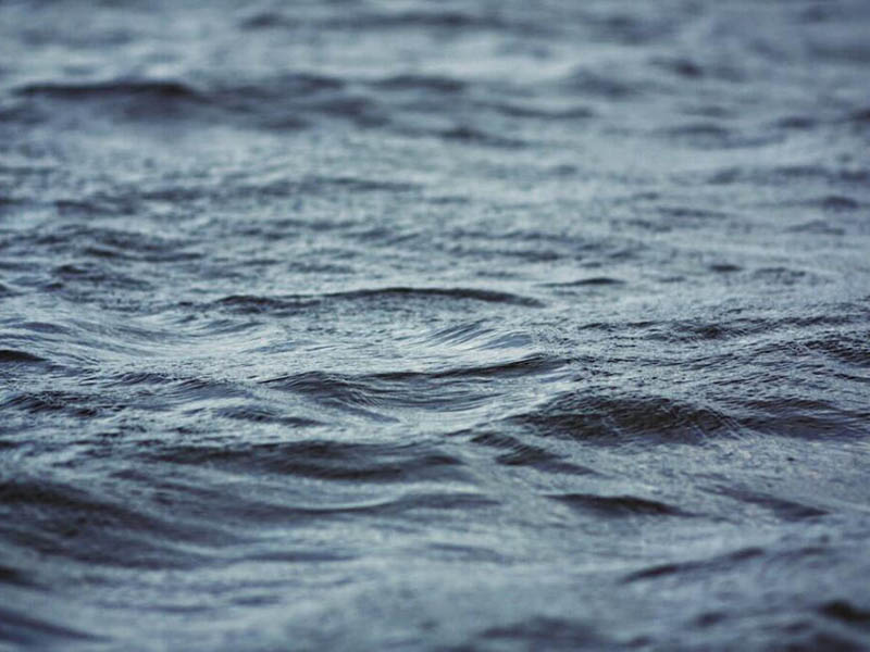 為什么BOD要選擇5天作為標(biāo)準(zhǔn)