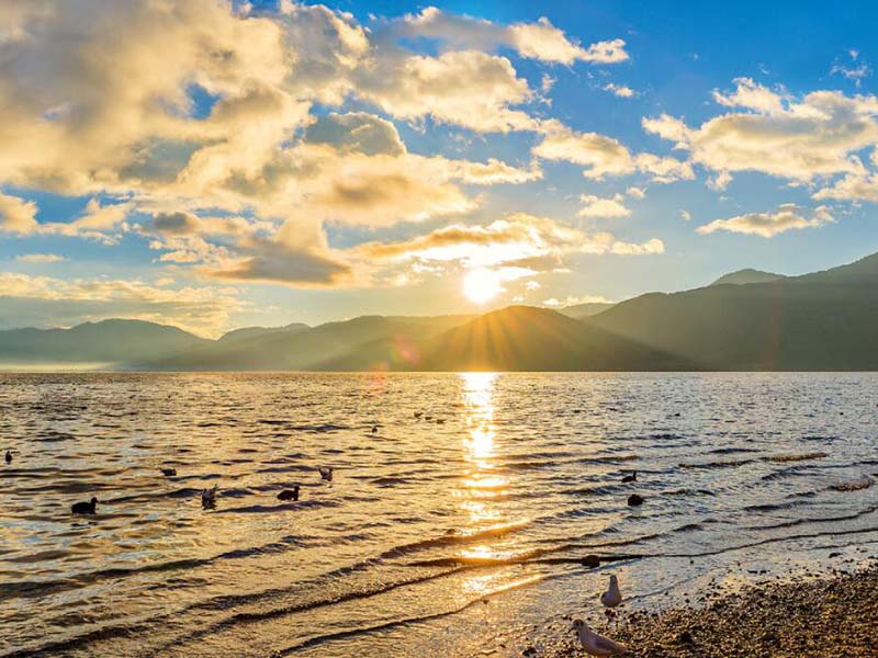 便攜式水質氟化物檢測儀設計標準