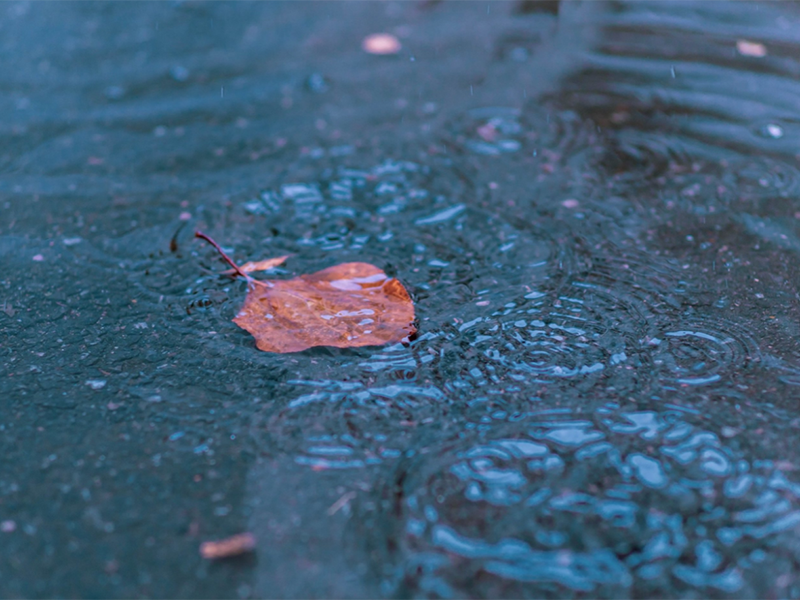 工業pH計的日常維護