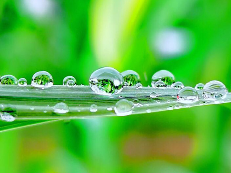 水質(zhì)BOD檢測為什么選用5日作為標準