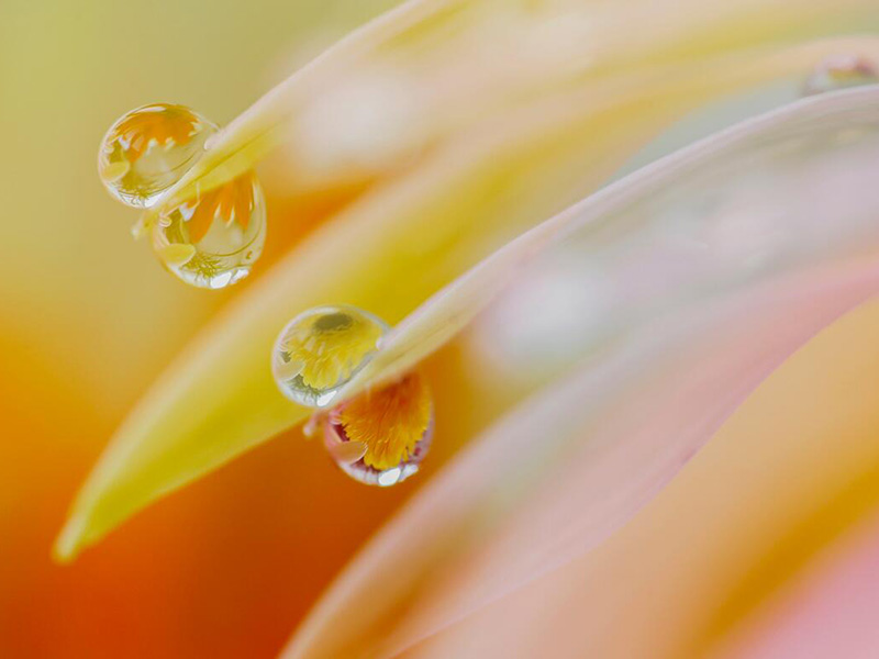 TOC分析儀的檢測流程