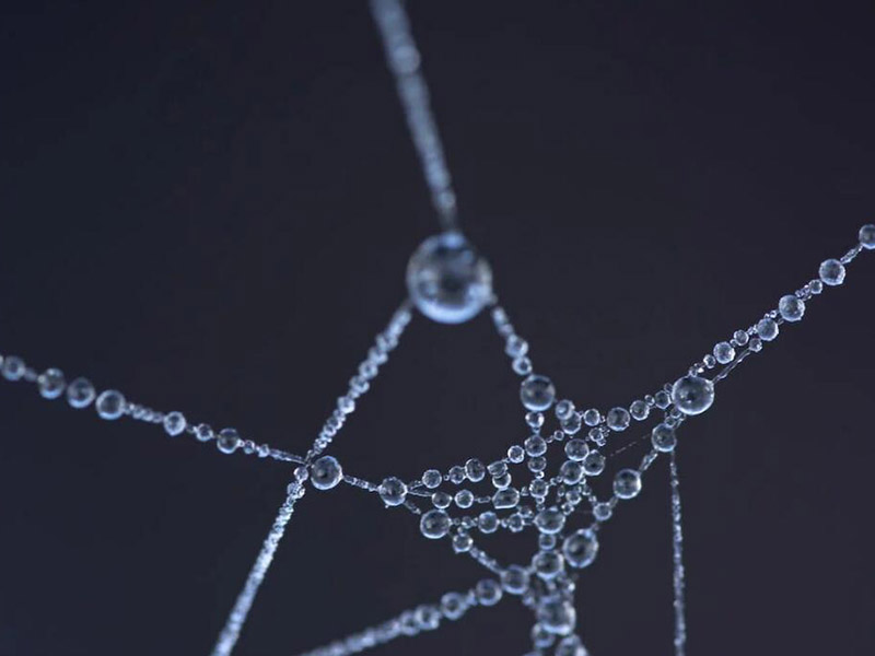 水質(zhì)水溫的測定要求