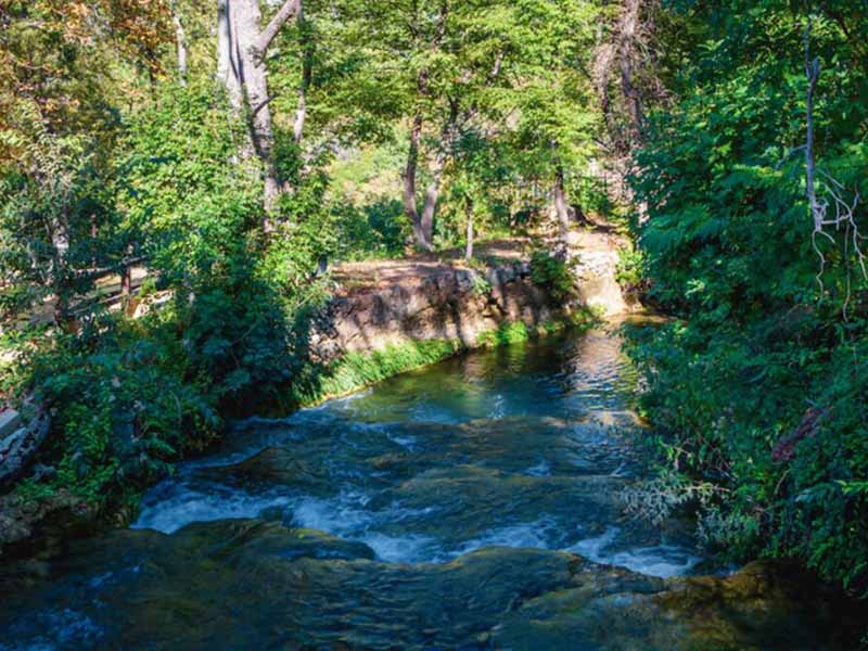 水質(zhì)微生物檢測儀檢測速度快嗎