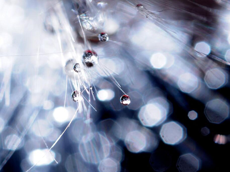 COD快速檢測(cè)儀操作流程