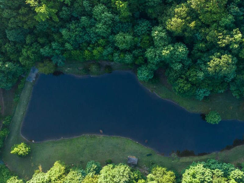化學需氧量是什么