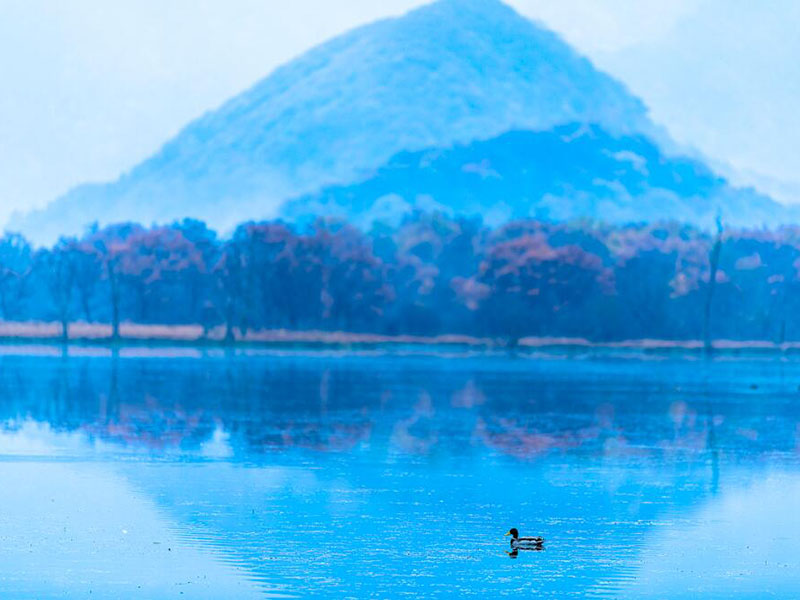 水質二氧化氯檢測儀使用方法