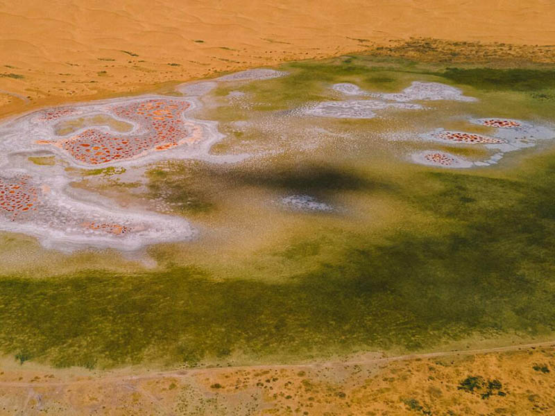 水質色度檢測儀操作流程