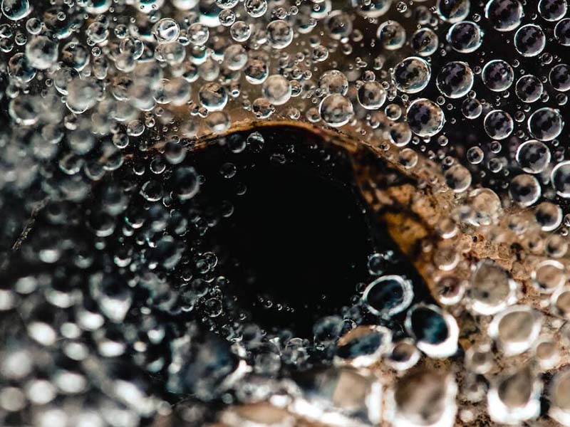 BOD快速測定儀主要功能