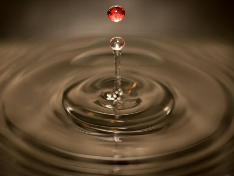 水質(zhì)微生物檢測儀工作原理