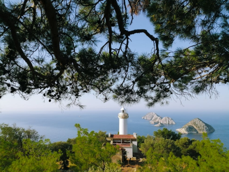 BOD測(cè)定儀的應(yīng)用（BOD測(cè)定儀在水質(zhì)檢測(cè)中的重要性）