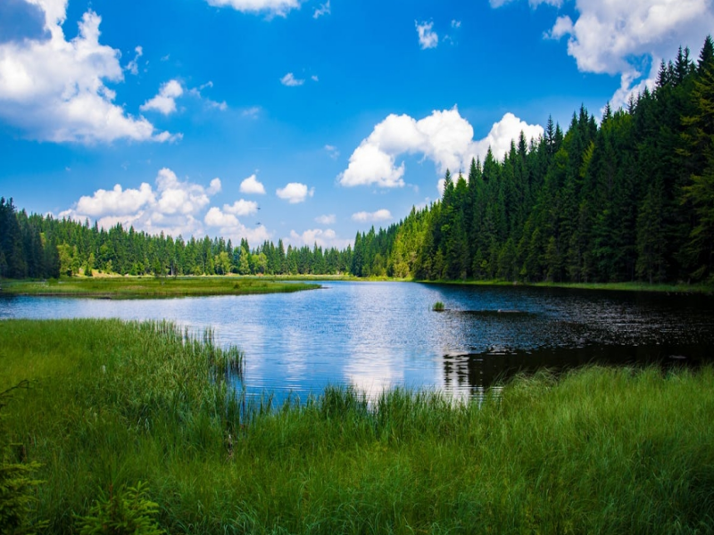 COD測(cè)定儀的正確使用方法（COD測(cè)定儀原理）