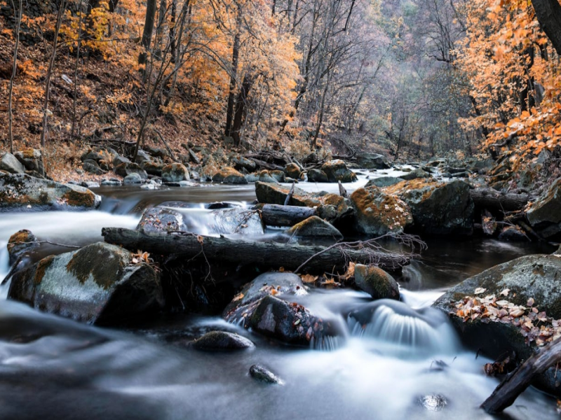 總有機氮檢測的意義（總有機氮分析儀常見問題）