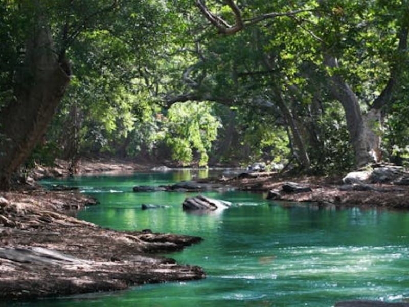 溶解氧與水質的關系（溶解氧越大水質就越好嗎）