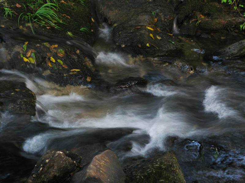 ?葉綠素藍綠藻分析儀工作原理（?葉綠素藍綠藻分析儀操作步驟）