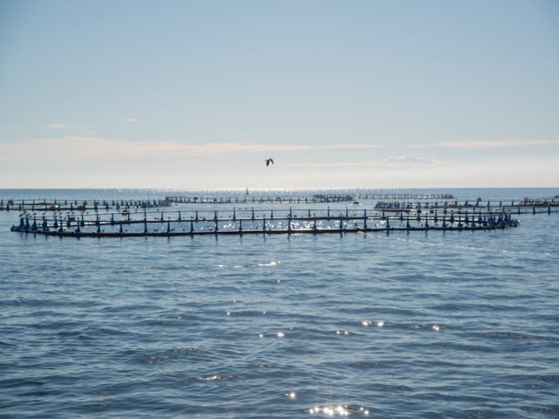 污水排放管理制度的重要性（如何實施污水排放管理制度）