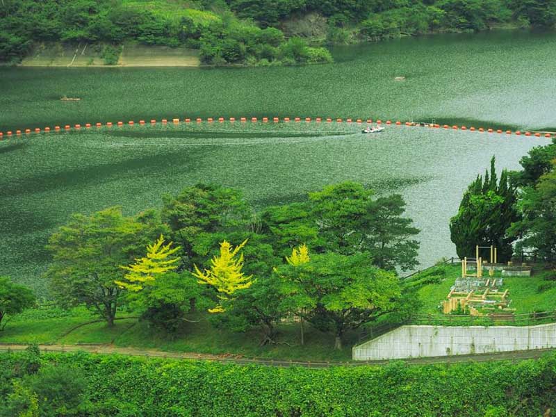 循環水總磷偏高的原因