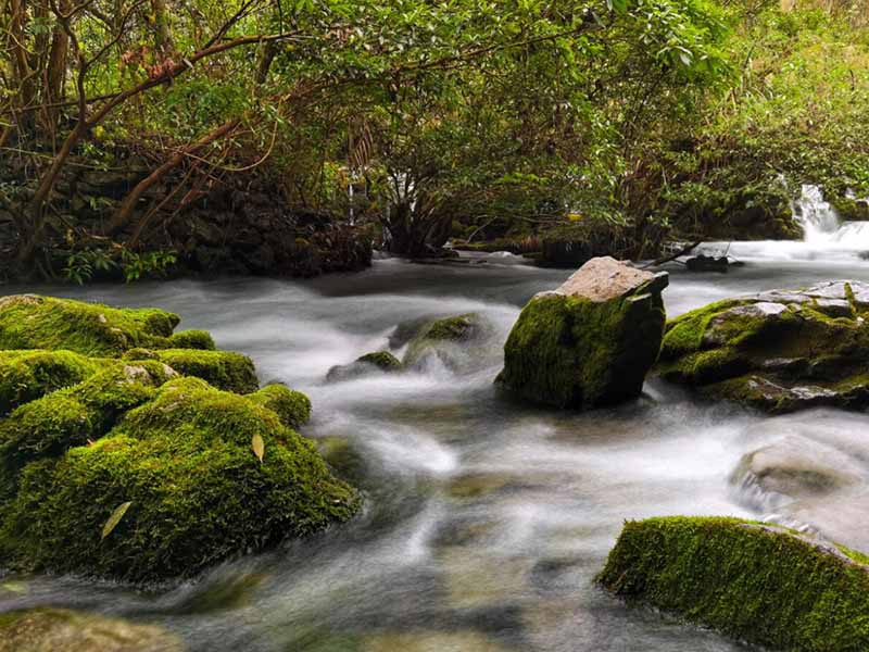 總磷測定儀檢測原理