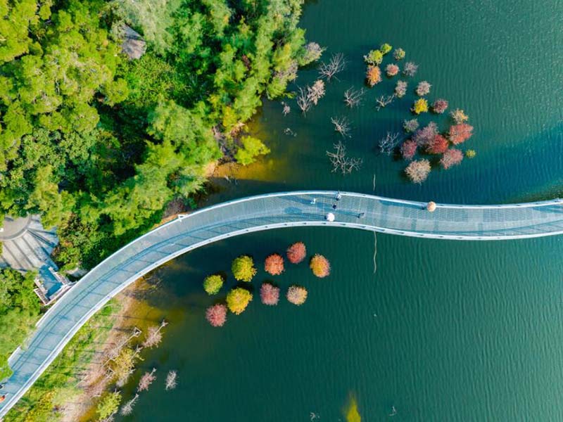 水體葉綠素檢測(cè)必要性