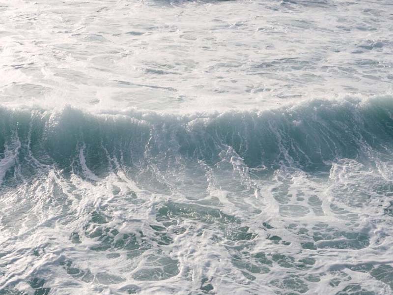 氨氮自動監測儀工作原理