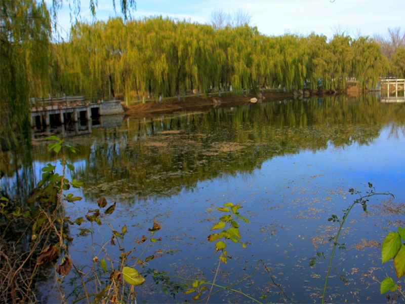 ORP在污水處理中的應(yīng)用