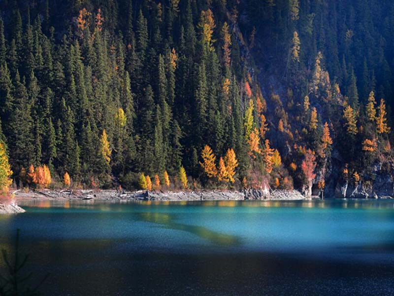 水質(zhì)六價鉻檢測儀類型與功能