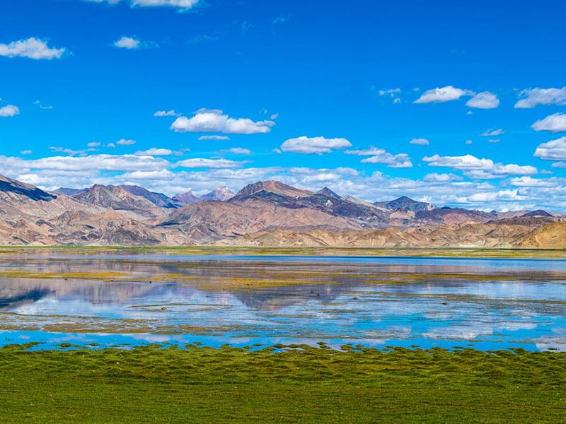 在線溶解氧檢測儀工作原理