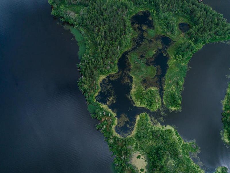 水質(zhì)在線監(jiān)測(cè)系統(tǒng)在水產(chǎn)養(yǎng)殖中的作用