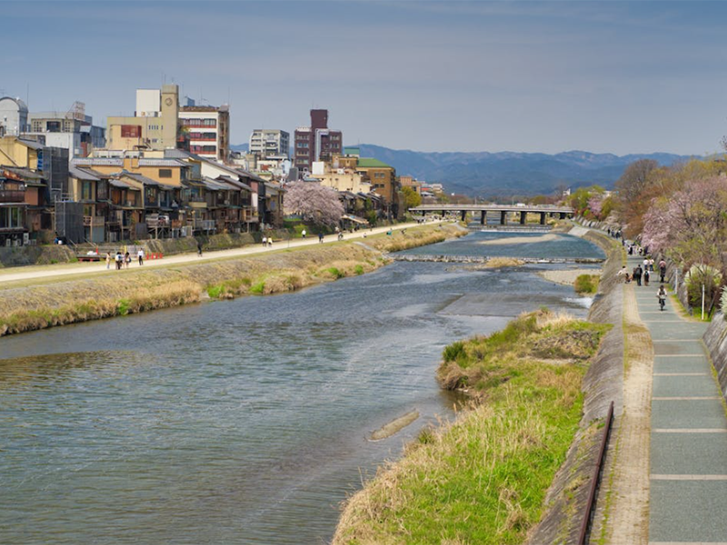 BOD快速檢測儀好用嗎