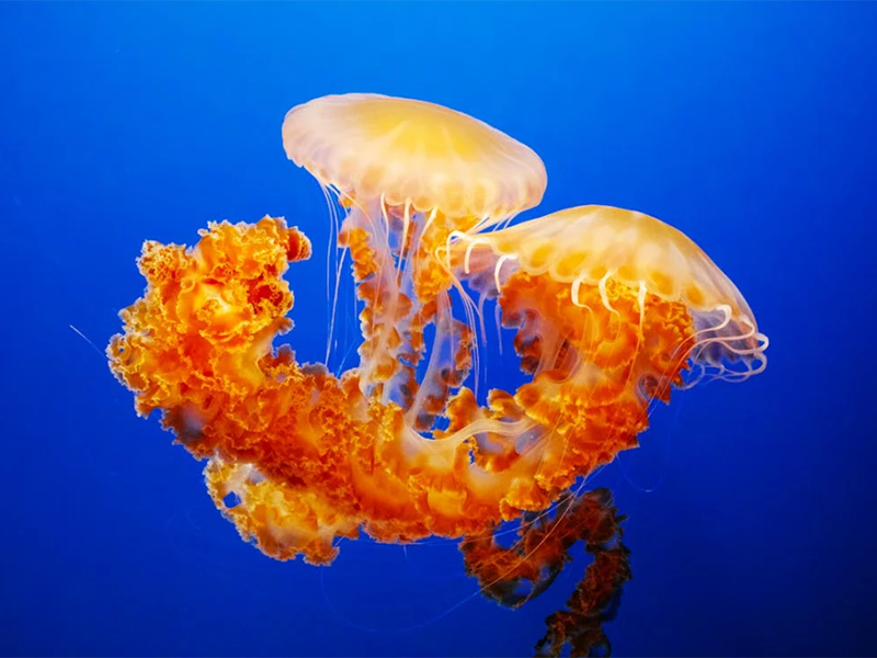 多參數(shù)水質(zhì)在線分析儀的安裝規(guī)范