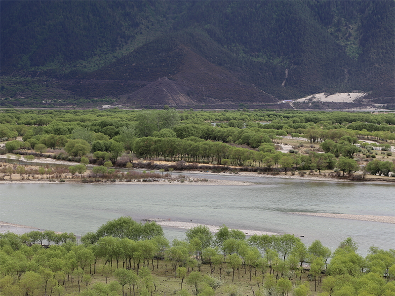 水體硫化氫危害與控制措施（硫化氫檢測質量控制）