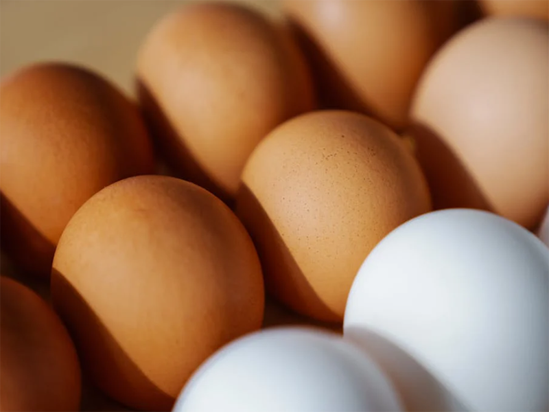 雞蛋獸藥殘留檢測儀優勢特點